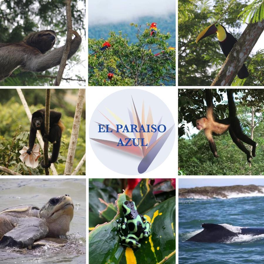 El Paraiso Azul โอเฆชาล ภายนอก รูปภาพ