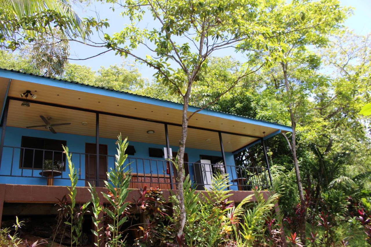 El Paraiso Azul โอเฆชาล ภายนอก รูปภาพ